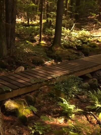 Pulpit Rock Conservation Area - Bedford, NH