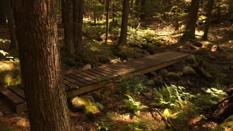 Pulpit Rock Conservation Area - Bedford, NH