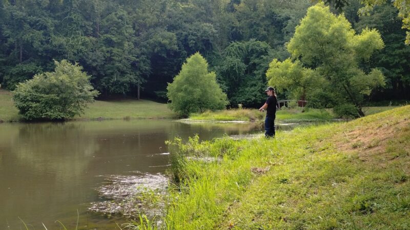 Independence Park - Bedford, VA