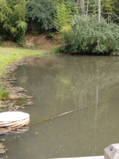 Independence Park - Bedford, VA