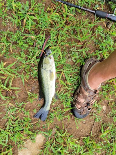 Independence Park - Bedford, VA