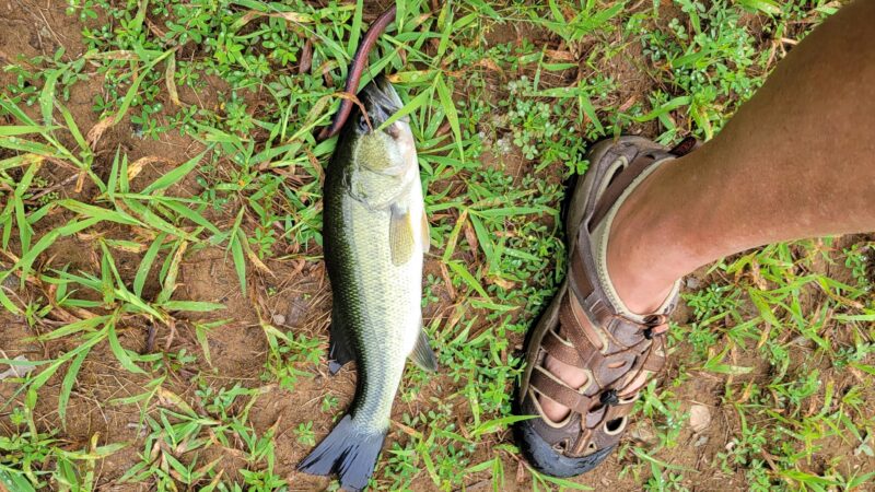 Independence Park - Bedford, VA