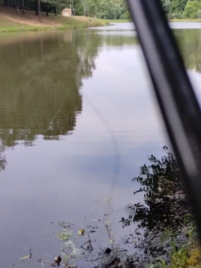 Independence Park - Bedford, VA