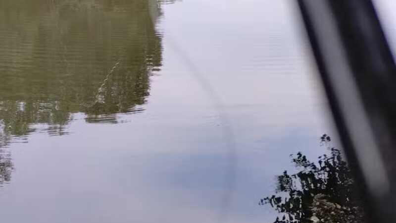 Independence Park - Bedford, VA