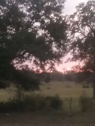 Roadside Picnic Area - Bedias, TX