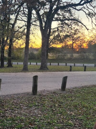 Roadside Picnic Area - Bedias, TX
