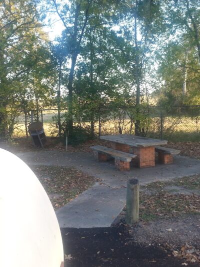Roadside Picnic Area - Bedias, TX