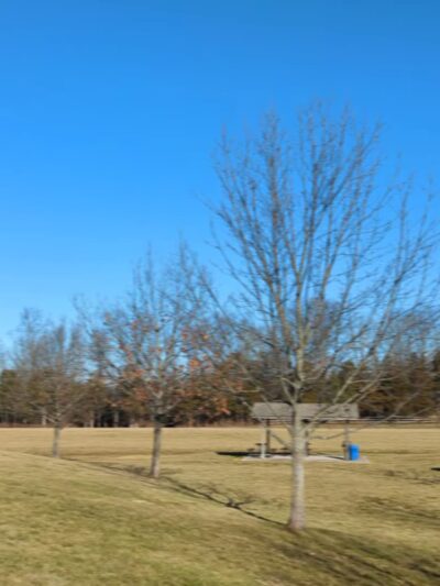 Burnt Mills Park - Bedminster, NJ