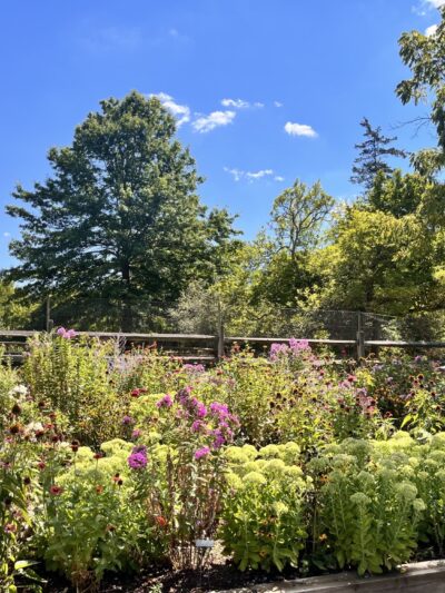 Fairview Farm Wildlife Preserve - Bedminster, NJ