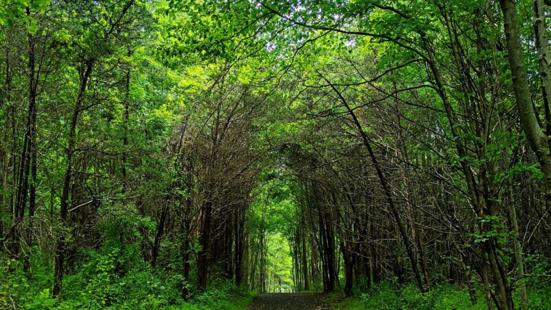 River Road Park - Bedminster, NJ