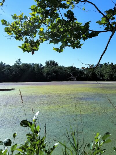 River Road Park - Bedminster, NJ