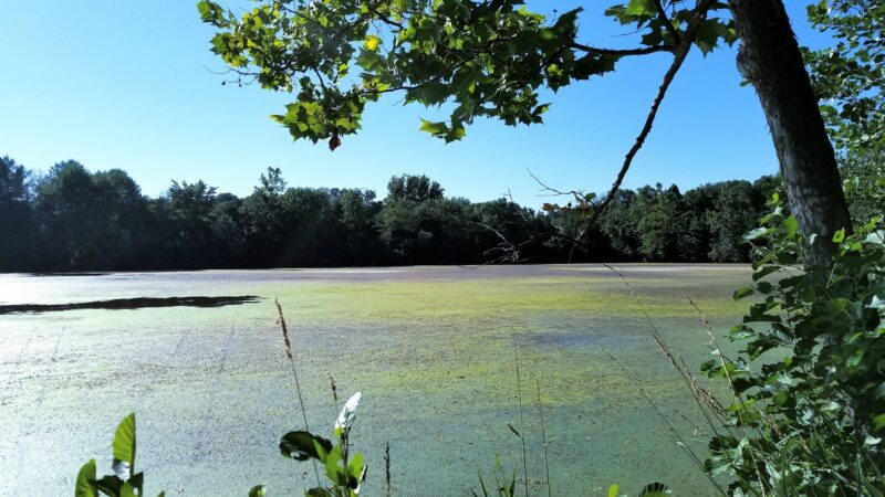 River Road Park - Bedminster, NJ
