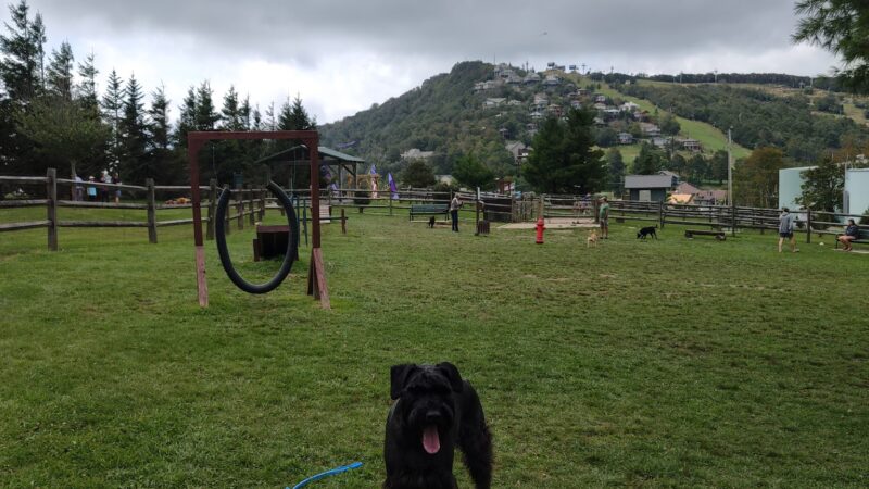 Beech Mountain Dog Park - Beech Mountain, NC
