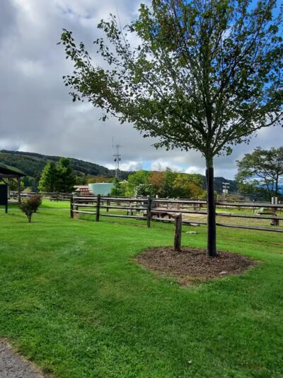 Beech Mountain Dog Park - Beech Mountain, NC