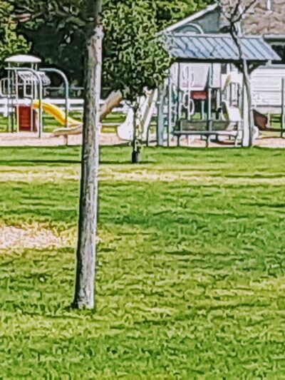 Kathy Hollensteiner Park - Belgrade, MT