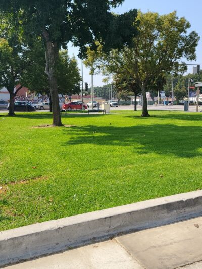 Biancini Park - Bell, CA