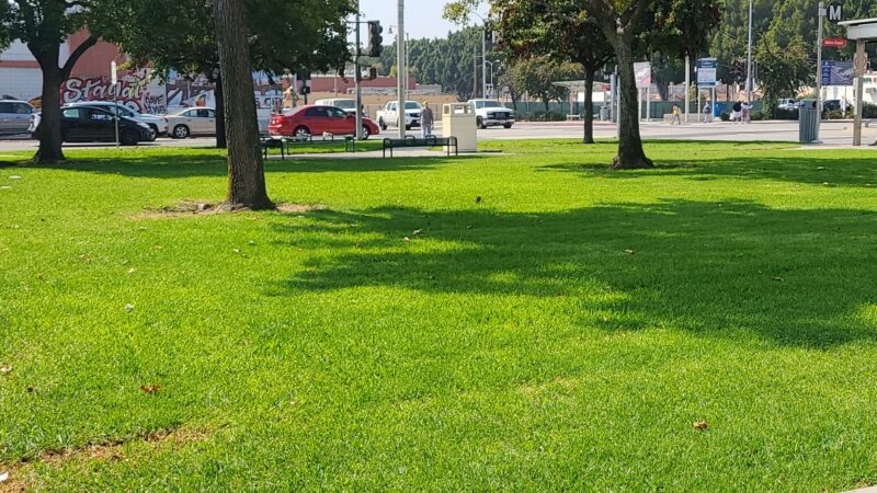 Biancini Park - Bell, CA