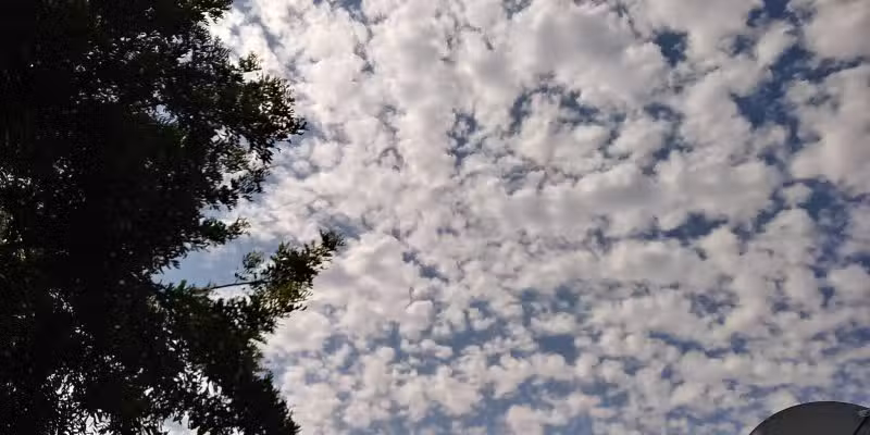 Julia Russ Asmus Park - Bell Gardens, CA