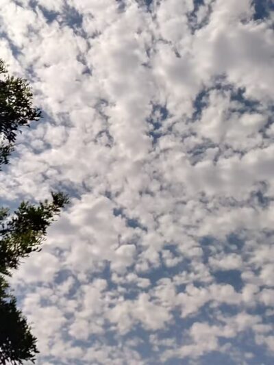 Julia Russ Asmus Park - Bell Gardens, CA