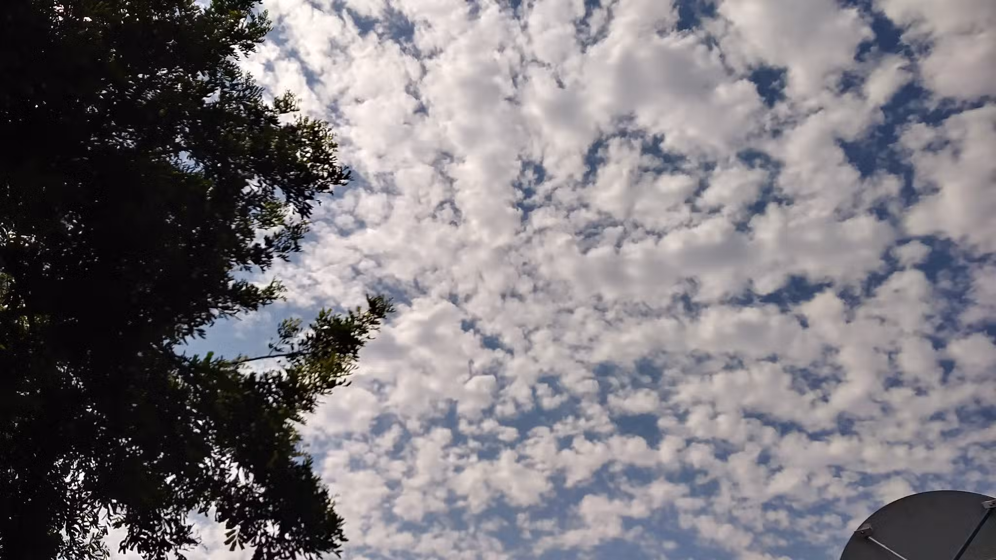 Julia Russ Asmus Park - Bell Gardens, CA