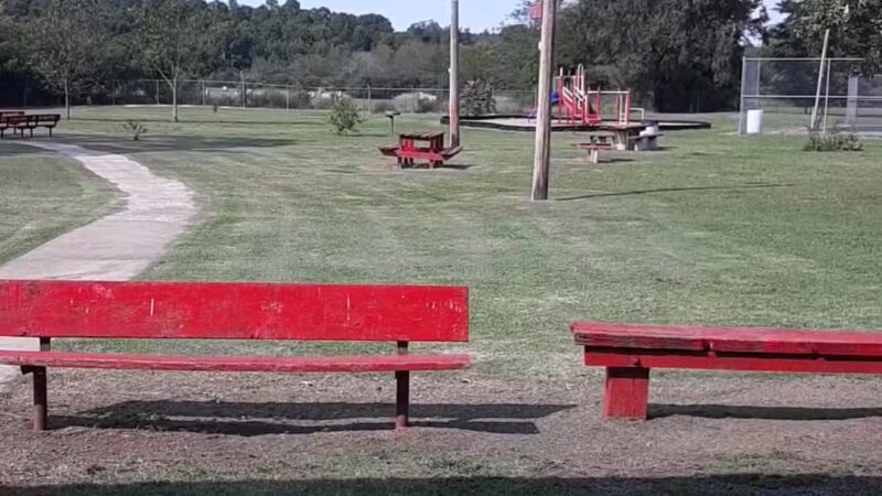 Belleville City Park - Belleville, AR