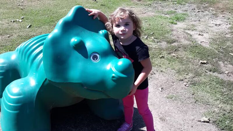 Belleville City Park - Belleville, AR