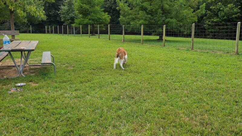 Shiloh Dog Park - Belleville, IL