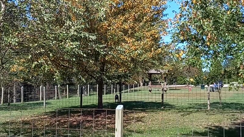 Shiloh Dog Park - Belleville, IL