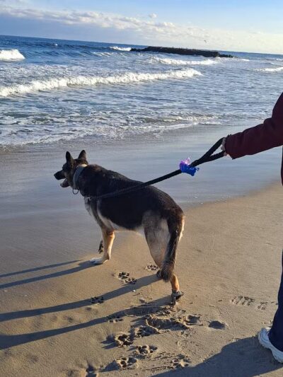 Belmar Beach Playground - Belmar, NJ