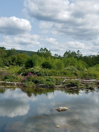 First Responders Park & River Access - Belmont, NY
