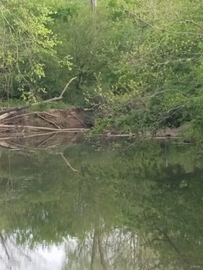 Town of Cramerton Goat Island Park & Greenway (Belmont Access) - Belmont, NC