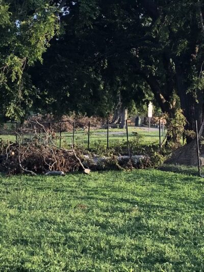 Heritage Park Dog Park - Belton, TX
