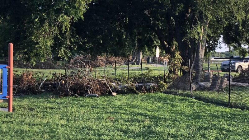 Heritage Park Dog Park - Belton, TX