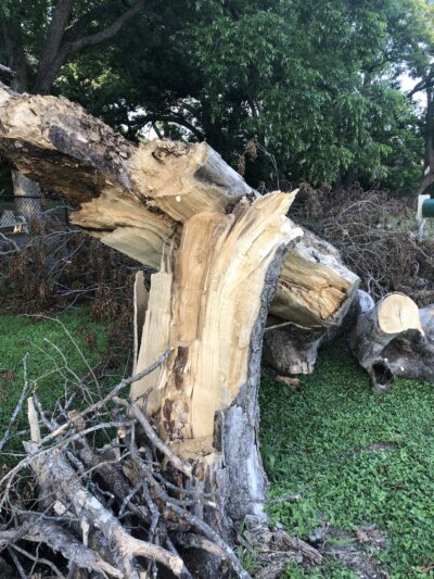 Heritage Park Dog Park - Belton, TX