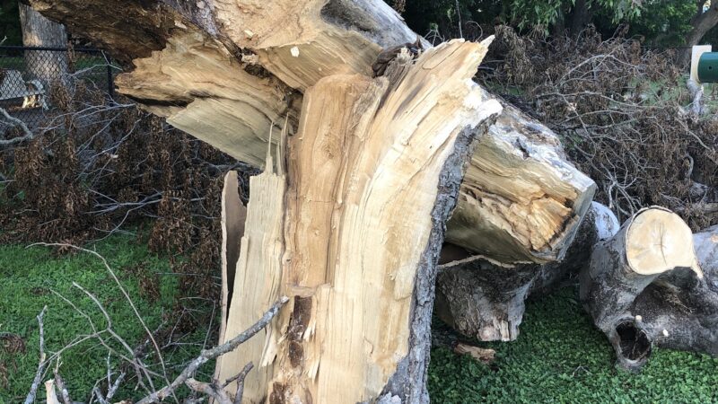 Heritage Park Dog Park - Belton, TX