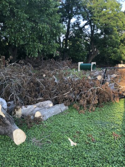 Heritage Park Dog Park - Belton, TX