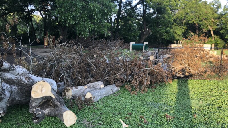 Heritage Park Dog Park - Belton, TX