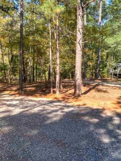 The Reserve RV Park - Ben Wheeler, TX