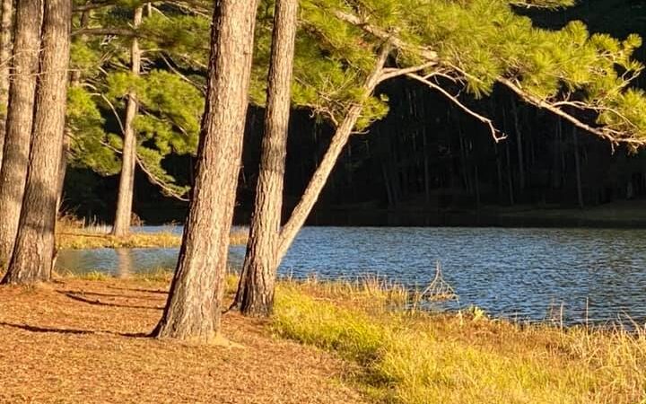 The Reserve RV Park - Ben Wheeler, TX