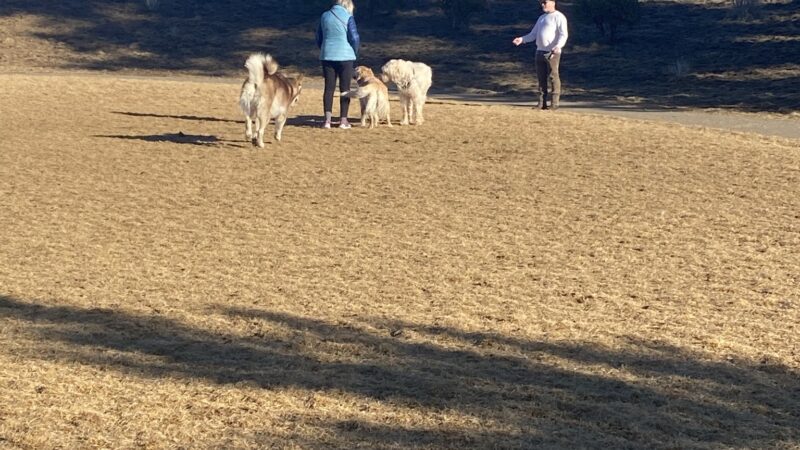 Discovery Park Dog Park - Bend, OR