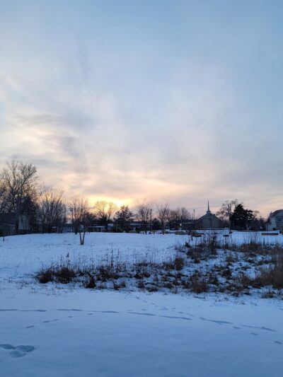 Breiter Palm Park - Bensenville, IL