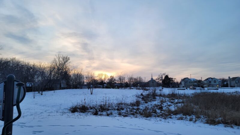 Breiter Palm Park - Bensenville, IL