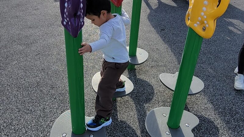 Mohawk park - Bensenville, IL