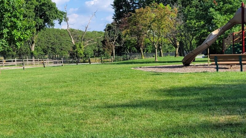Pines Park - Bensenville, IL