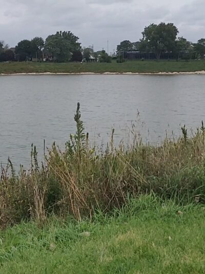 Redmond Reservoir - Bensenville, IL