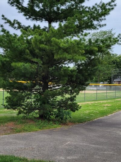 Sunset Park - Bensenville, IL