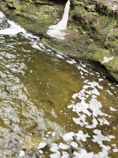 Evergreen Trail at Ricketts Glen - Benton, PA