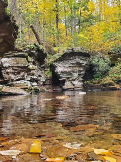 Evergreen Trail at Ricketts Glen - Benton, PA