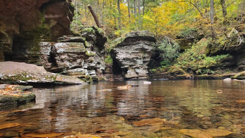Evergreen Trail at Ricketts Glen - Benton, PA