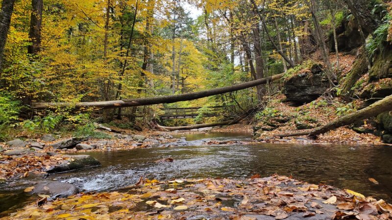 Evergreen Trail at Ricketts Glen - Benton, PA